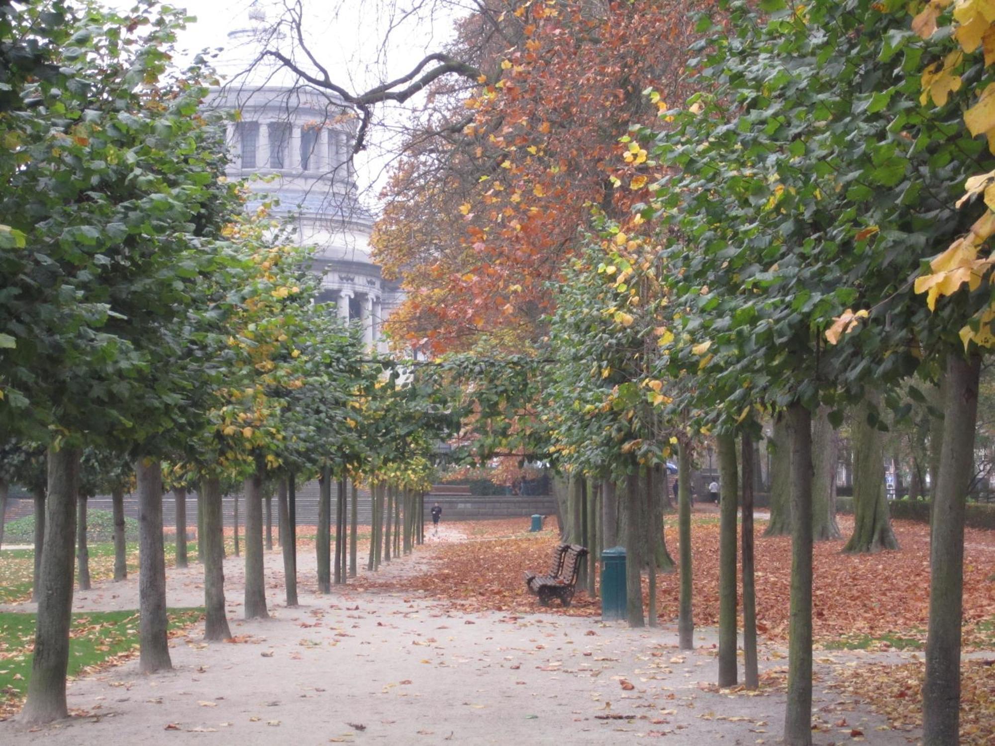 B&B A Cote Du Cinquantenaire Etterbeek Exterior photo